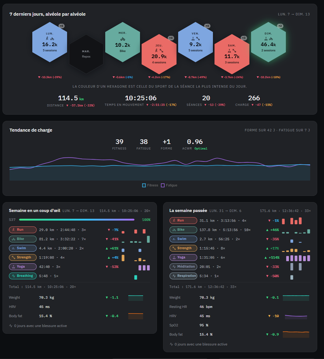 the dashboard (/dashboard): the week as a hexagonal mosaic